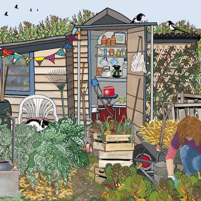 cartoon of allotment shed