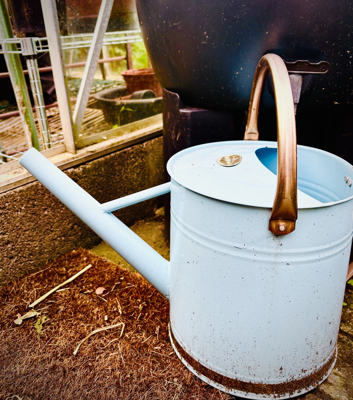 Blue watering can