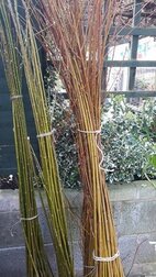Willow at the hub showing three bundles