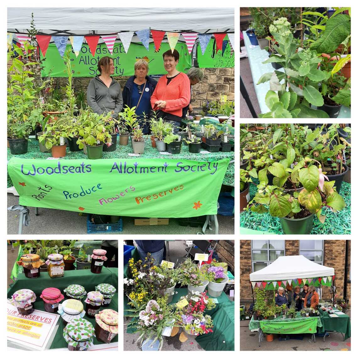 WOODSEATS FESTIVALX4