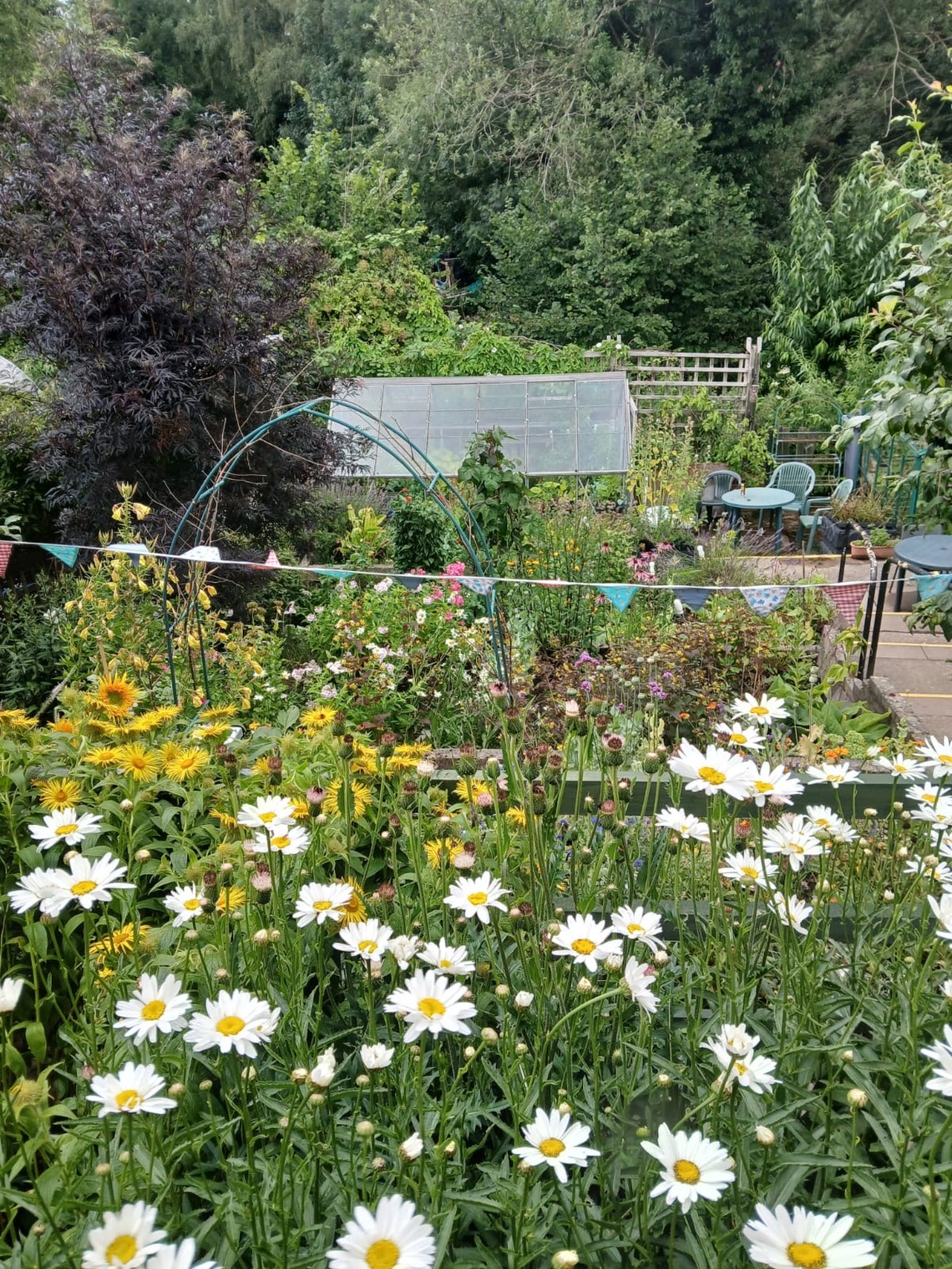 Hub garden 