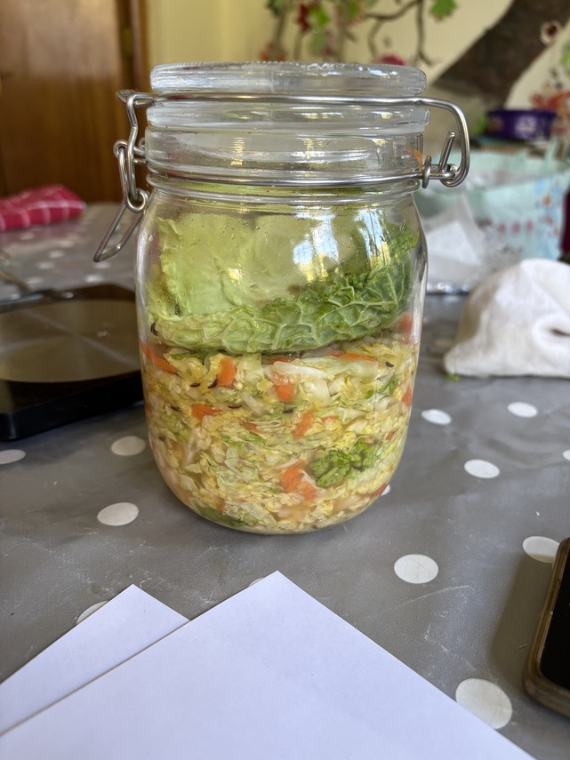 Sauerkraut 1