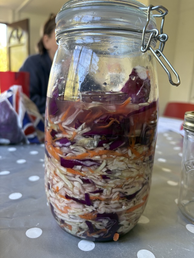 Sauerkraut 2
