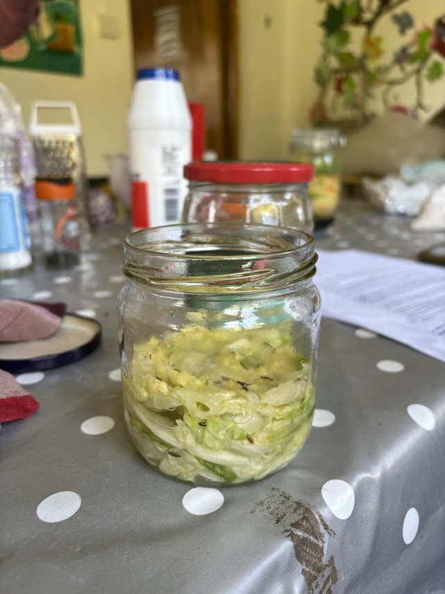 Sauerkraut 3