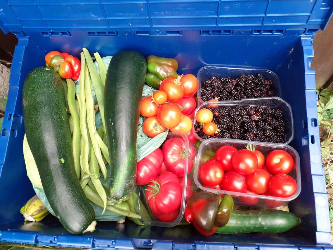 Picture of fruit and veg